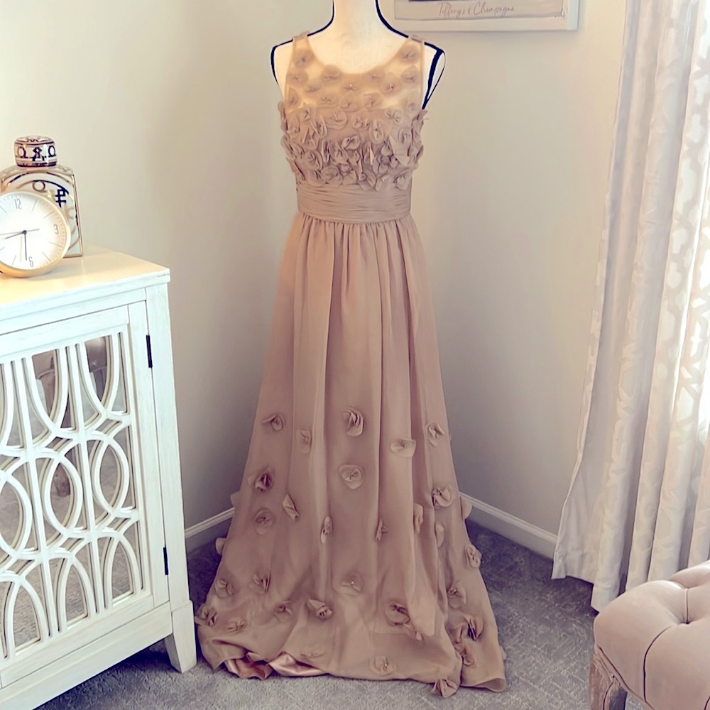 Js Collections Long Formal Dress - image 1